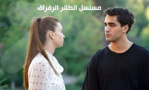 مسلسل الطائر الرفراف